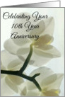 Your 10th Year Anniversary Translucent White Orchid in a Misty Dream card