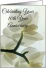 Your 10th Year Anniversary Translucent White Orchid in a Misty Dream card