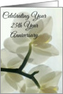 Your 25th Year Anniversary Translucent White Orchid in a Misty Dream card