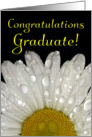 Congratulations On Your Graduation -Montauk Daisy Dew on Petals card