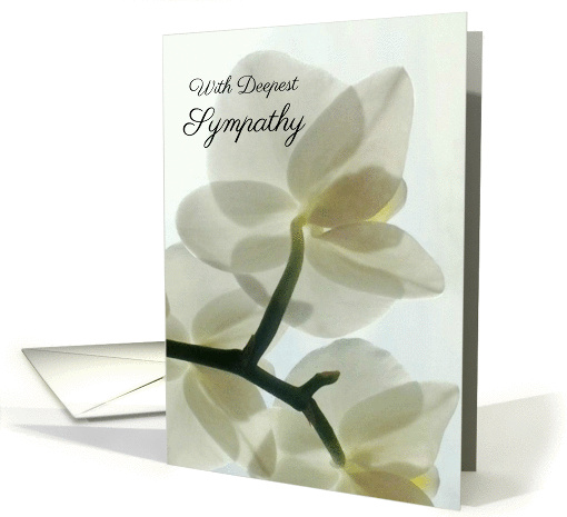 Translucent White Orchid in a Misty Dream - Sympathy, Blank card