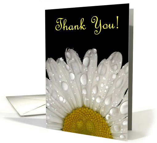 Thank You, Raindrops on Montauk Daisy - Blank card (1404762)