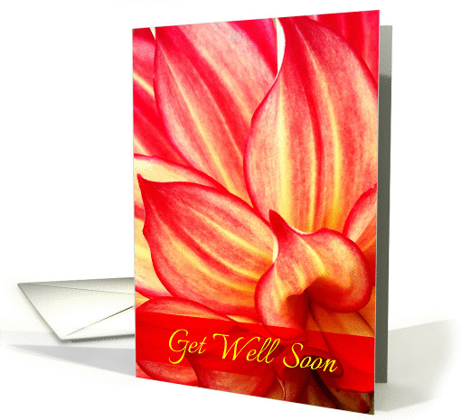Get Well Soon Red and Yellow Dahlia - Blank card (1405304)
