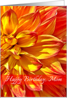 Happy Birthday Mom, Yellow-Orange Dahlia card