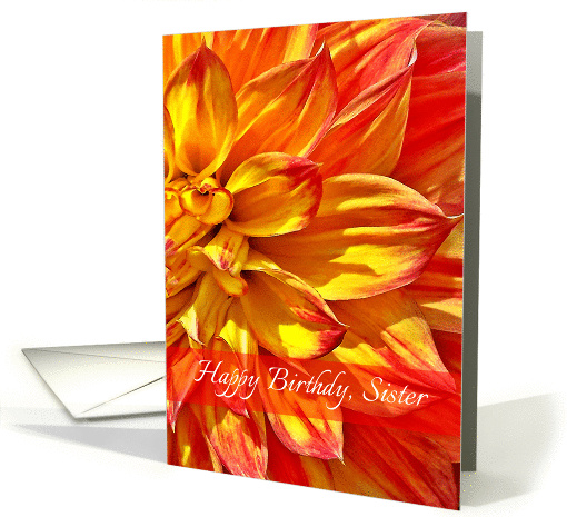 Happy Birthday Sister, Yellow-Orange Dahlia card (1409674)