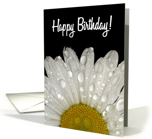 Happy Birthday, Raindrops on Montauk Daisy card (1409744)