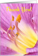 Thank You, Magenta and Yellow DayLily Petals - Blank card