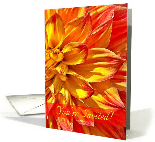 Invitation, Dahlia Yellow Red Tipped Petals card (1410654)