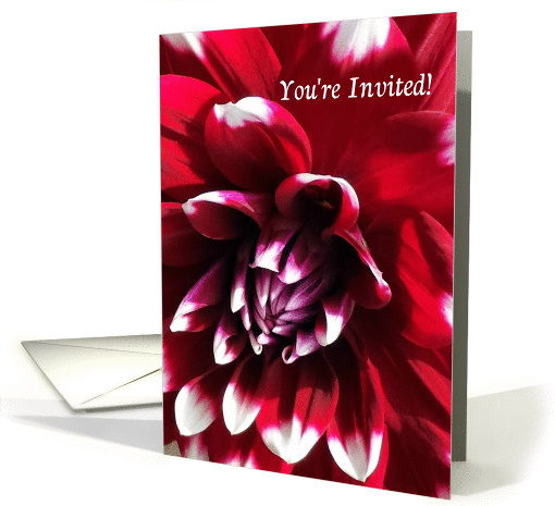 General Invitation, Red Dahlia with White-Tipped Petals card (1411374)