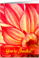 General Invitation, Red-Yellow Dahlia Petals card