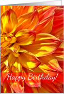 Happy Birthday, Dahlia Yellow Red Tipped Petals card