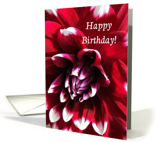 Happy Birthday, Red Dahlia with White-Tipped Petals card (1411926)