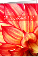 Happy Birthday, Red-Yellow Dahlia card