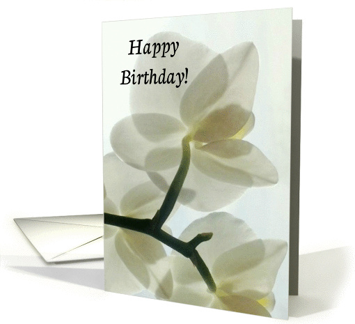 Happy Birthday, Translucent White Orchid in a Misty Dream card