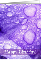 Happy Birthday, Violet Iris Petals with Morning Dew card