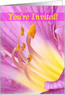 Invitation, Magenta and Yellow DayLily Petals card