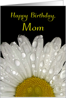 Happy Birthday Mom, Raindrops on Montauk Daisy card