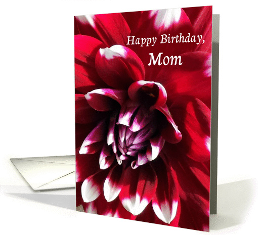 Happy Birthday Mom, Red Dahlia with White-Tipped Petals card (1414470)
