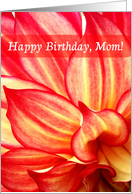 Happy Birthday Mom, Red-Yellow Dahlia card