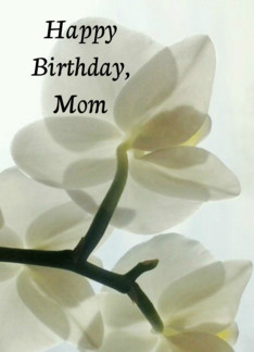 Happy Birthday Mom,...