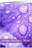 Happy Birthday Mom, Violet Iris Petals with Morning Dew card