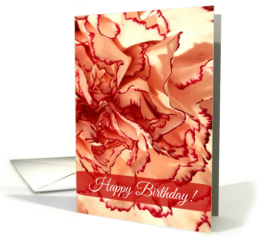 Happy Birthday! Carnation, Cream and Red Petals card (1420898)