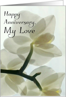 Happy Anniversary, My Love - Translucent White Orchid in a Misty Dream card