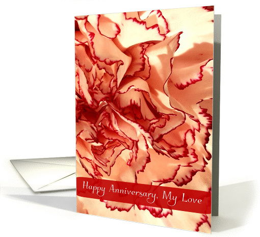Happy Anniversary, My Love - Red Tipped Cream Petals, Carnation card