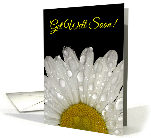 Get Well Soon! Raindrops on Montauk Daisy card (1421500)