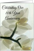 Our 10th Year Anniversary Translucent White Orchid in a Misty Dream card