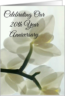 Our 20th Year Anniversary Translucent White Orchid in a Misty Dream card