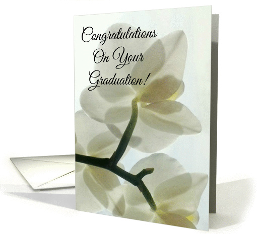 Congratulations On Your Graduation -Translucent White Orchid card