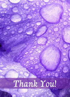 Thank You - Violet...