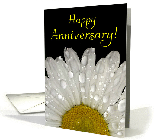 Happy Anniversary - Raindrops on Montauk Daisy card (1424250)
