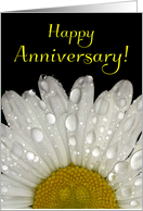 Happy Anniversary - Raindrops on Montauk Daisy card