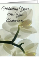 Your 10th Year Anniversary Translucent White Orchid in a Misty Dream card