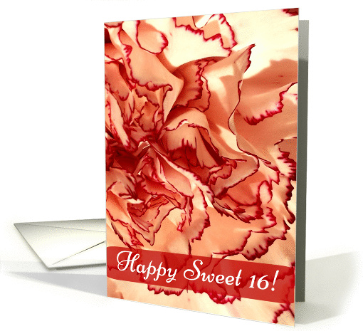 Happy Sweet 16! Carnation, Cream and Red Petals card (1424552)