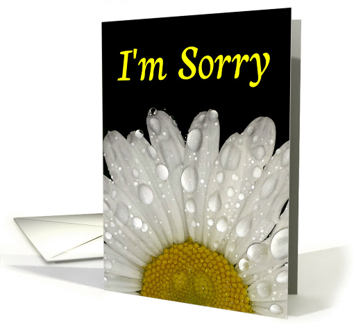 I'm Sorry -Montauk Daisy Dew on Petals card (1425676)