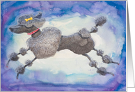 Prettiest Poodle on your Birthday! card
