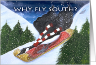 Why Fly South? Canada Goose riding a sled, travel/Holiday card