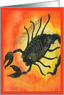 Scorpio Zodiac Horoscope Birthday October 23 – November 21 card