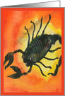 Scorpio Zodiac Horoscope Birthday October 23  November 21 card