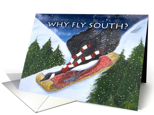 Why Fly South? Canada Goose riding a sled, travel/Holiday card