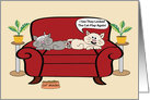 Two Cats On Chair Humor Birthday. card