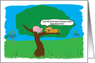 Cat And A Pig Stuck In A Tree Humor Birthday card