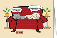 Two Cats On Chair Humor Birthday. card