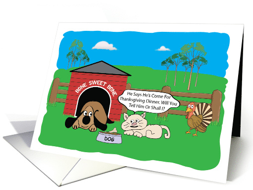 Dog, Cat And A Turkey For Thanksgiving Dinner card (1432144)