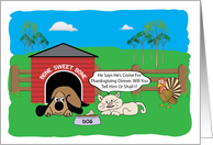 Dog, Cat And A Turkey For Thanksgiving Dinner card