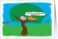 Cat And A Pig Stuck In A Tree Humor Birthday card