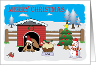 Dog With Xmas Bone Pudding Merry Christmas card